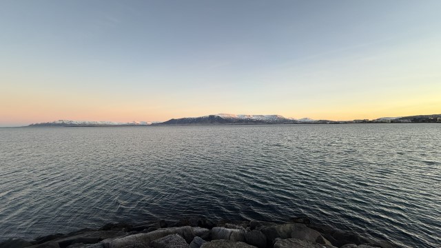 IMG 9867