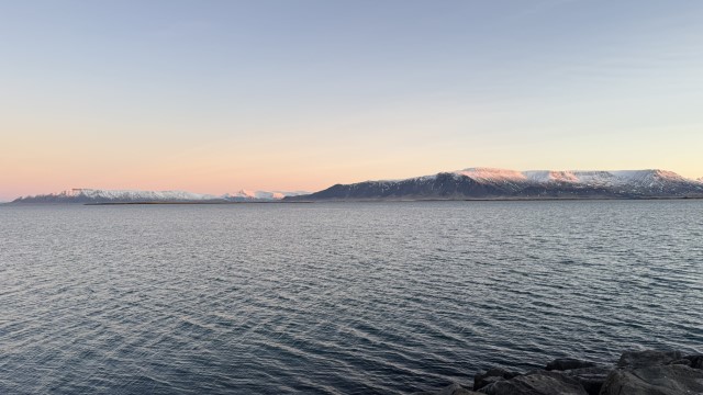 IMG 9871