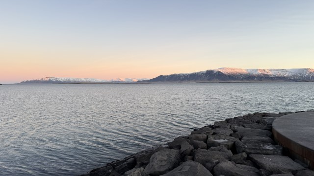 IMG 9875