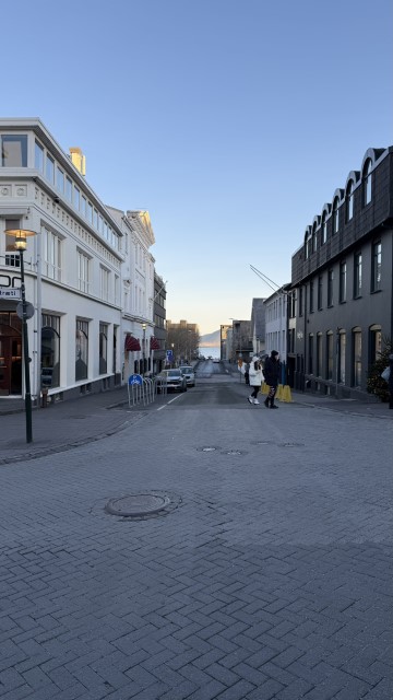 IMG 9937