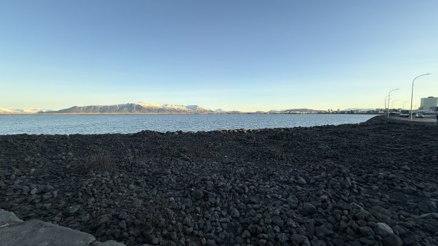 IMG 9958