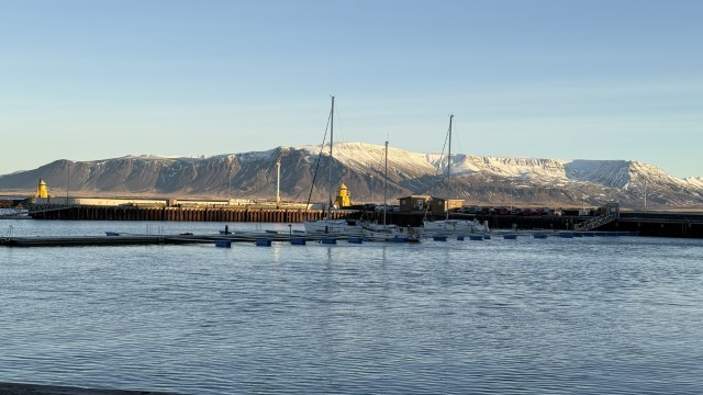 IMG 9971