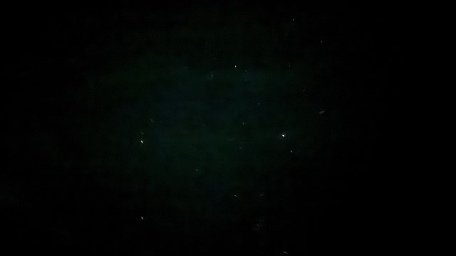 IMG 0477