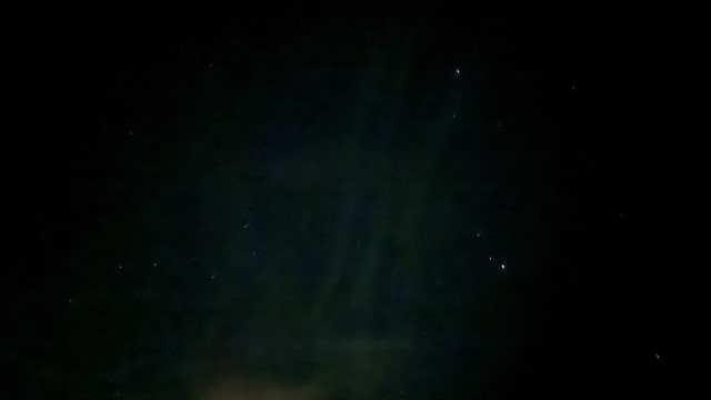 IMG 0479