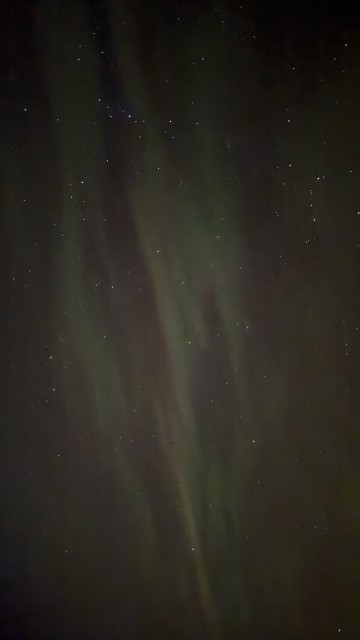 IMG 0486