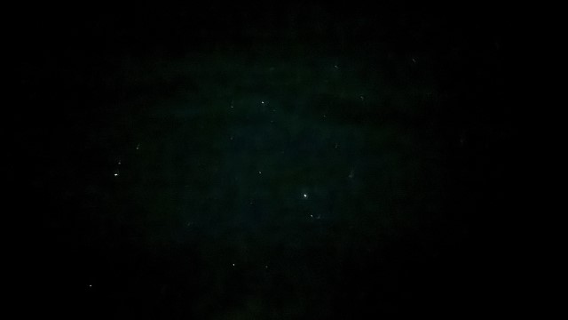 IMG 0489