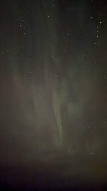 IMG 0493