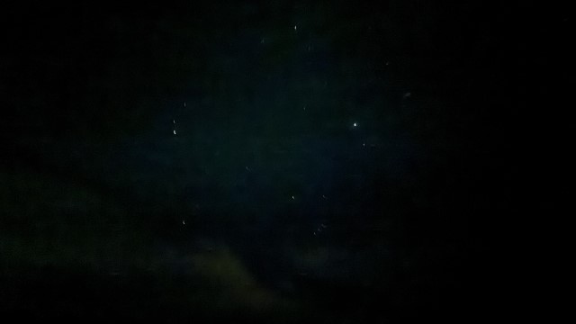 IMG 0520
