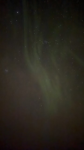 IMG 0527