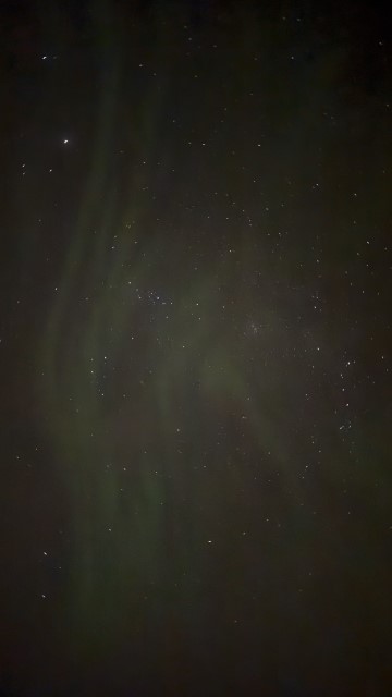 IMG 0528