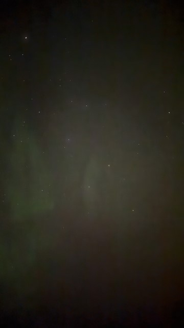 IMG 0556