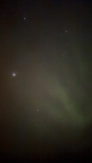 IMG 0559