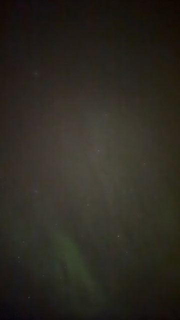 IMG 0561