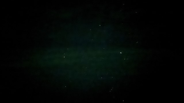 IMG 0574