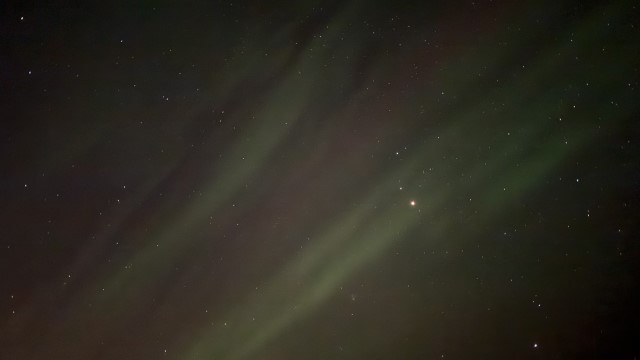 IMG 0580