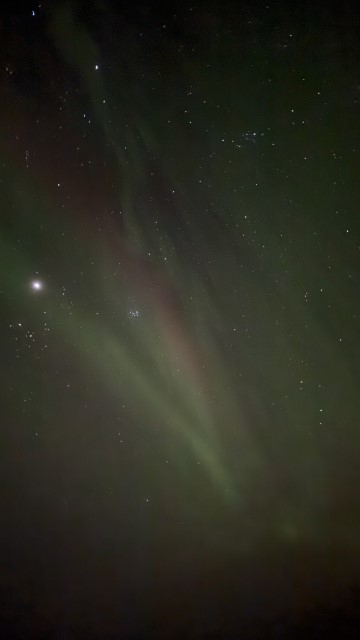 IMG 0584