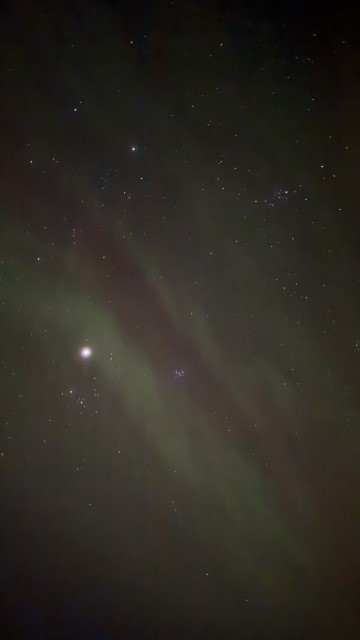 IMG 0597