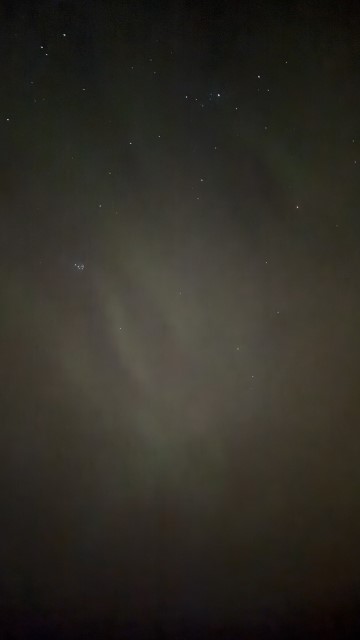 IMG 0601