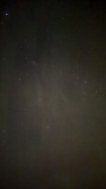 IMG 0602