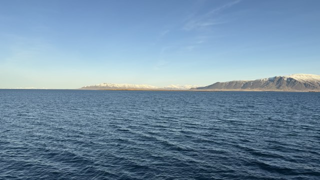 IMG 0017