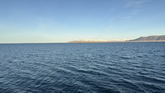 IMG 0018