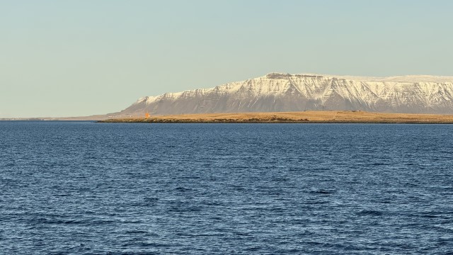 IMG 0019