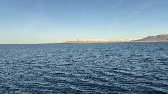 IMG 0020