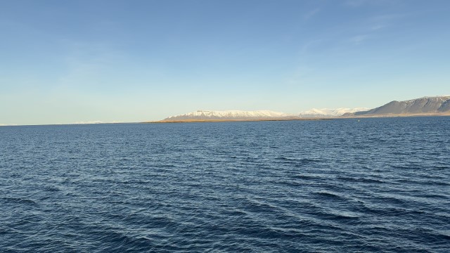 IMG 0021
