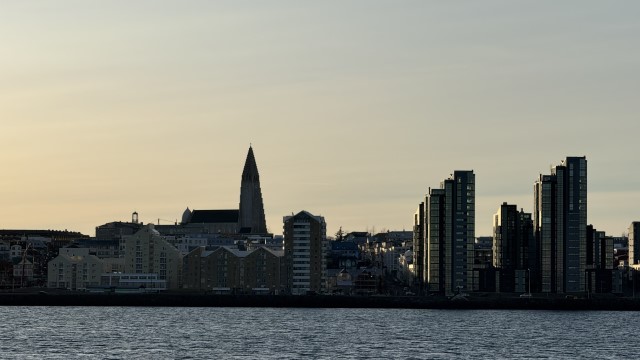 IMG 0024