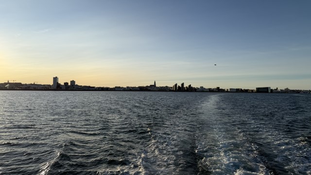 IMG 0029