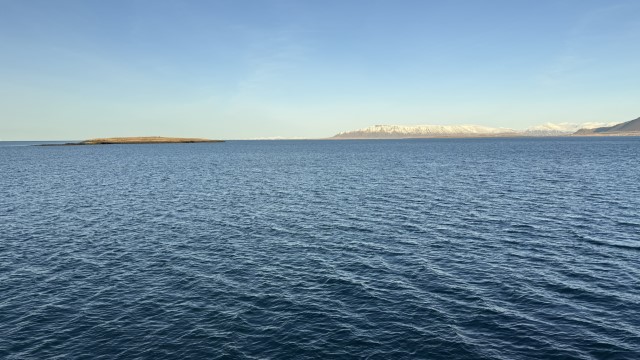 IMG 0036