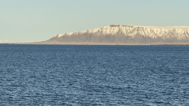 IMG 0038