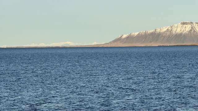 IMG 0050