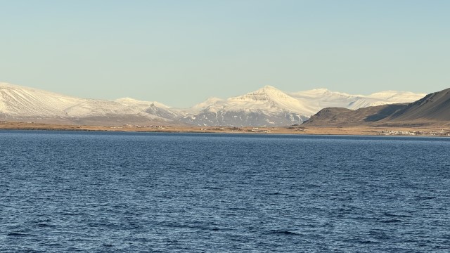 IMG 0052