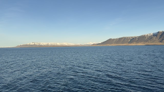 IMG 0054