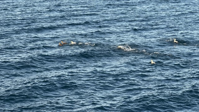 IMG 0057