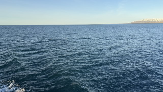 IMG 0058