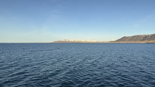 IMG 0060