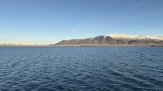 IMG 0061