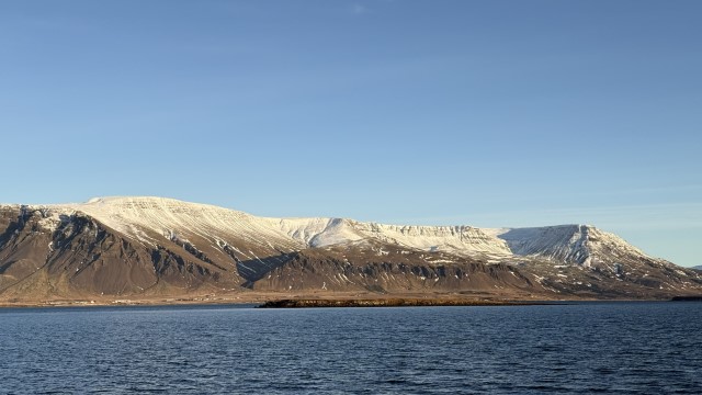 IMG 0062