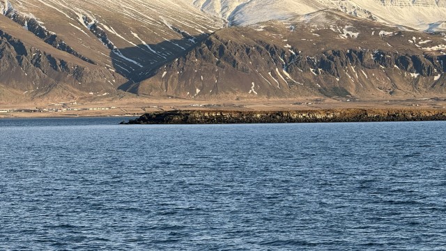 IMG 0063
