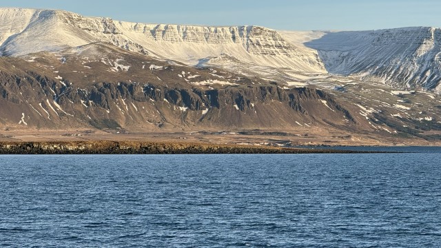 IMG 0064