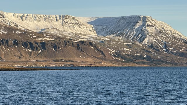 IMG 0065