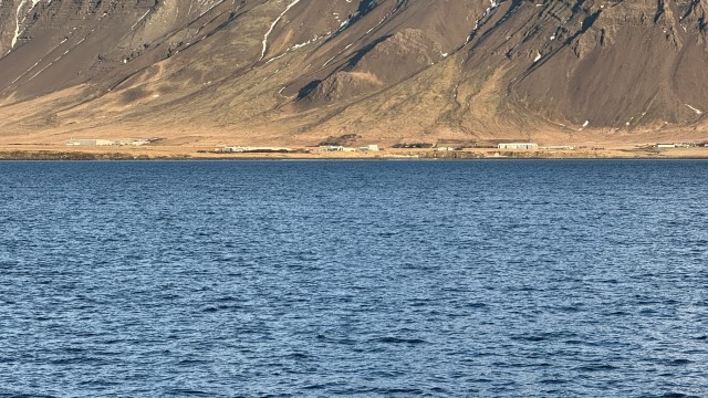 IMG 0069