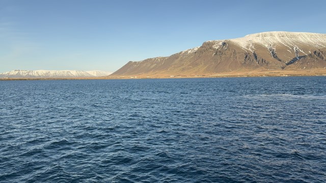 IMG 0075