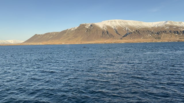 IMG 0077
