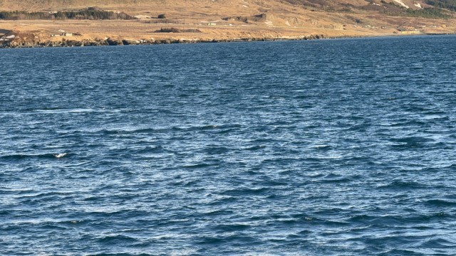 IMG 0079