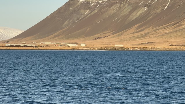 IMG 0081