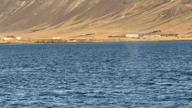 IMG 0082