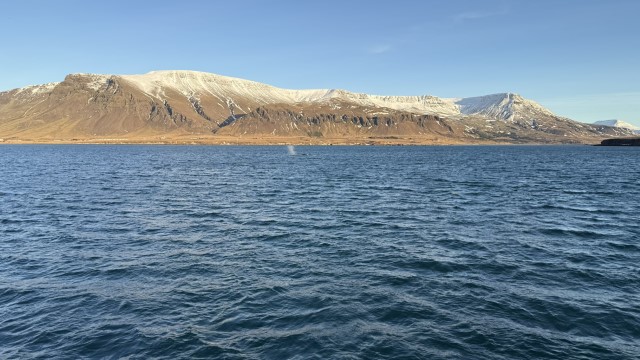 IMG 0091